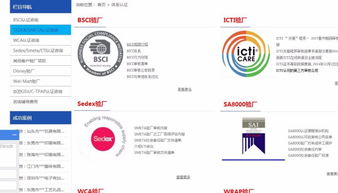 速訊企業(yè)管理咨詢公司 業(yè)務(wù)概覽與職業(yè)發(fā)展前景探析